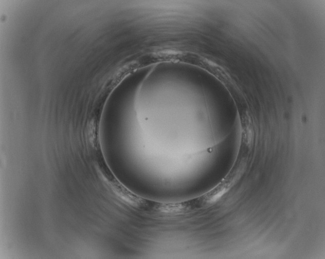 X0000071380767200606261413