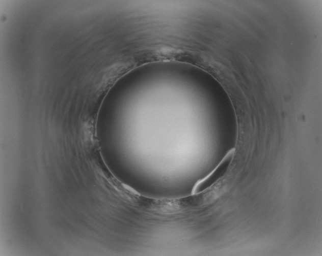 X0000071380768200606261413