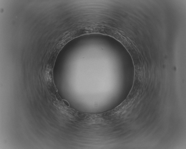 X0000071380770200606261412