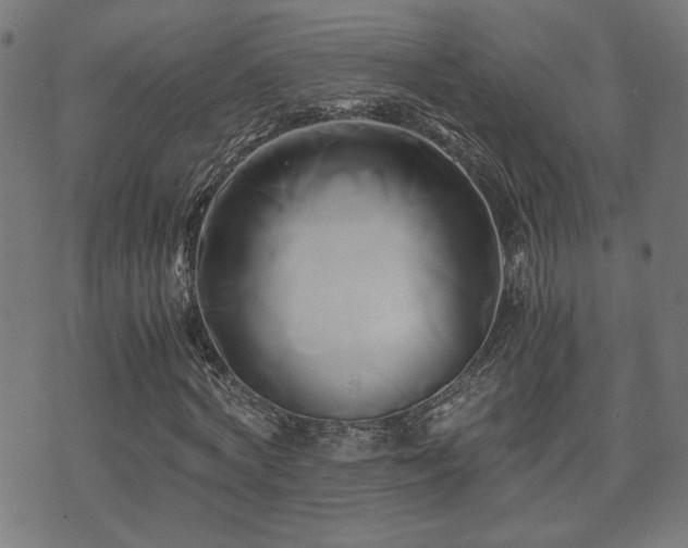 X0000071380772200606261412