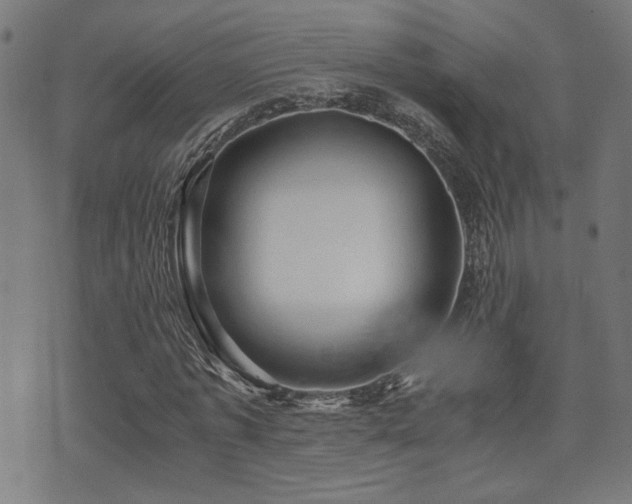 X0000071380773200606261412