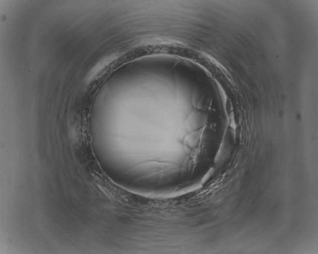 X0000071380775200606261412