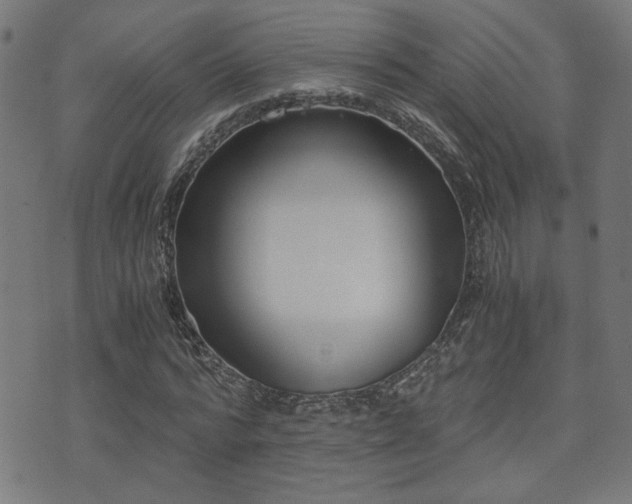 X0000071380776200606261412