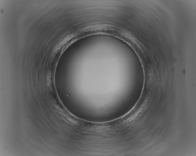 X0000071380778200606261412