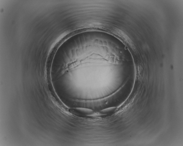 X0000071380780200606261412