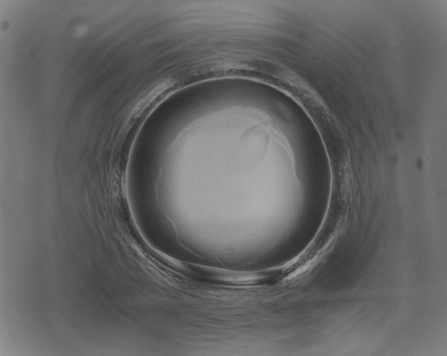 X0000071380785200606261412