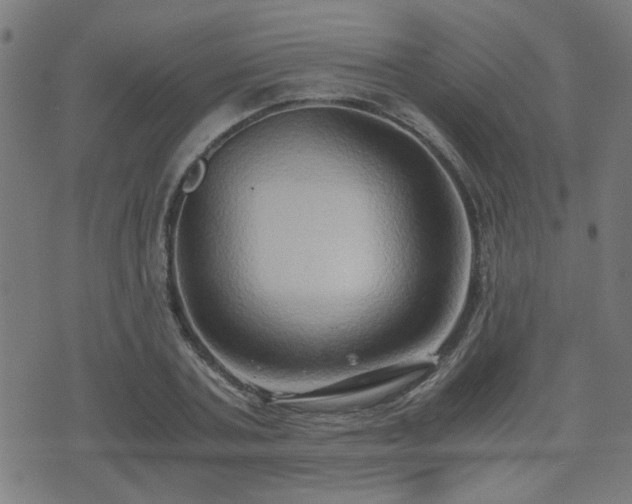 X0000071380787200606261412