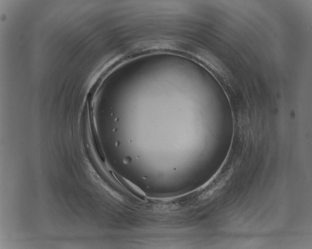 X0000071380790200606261412