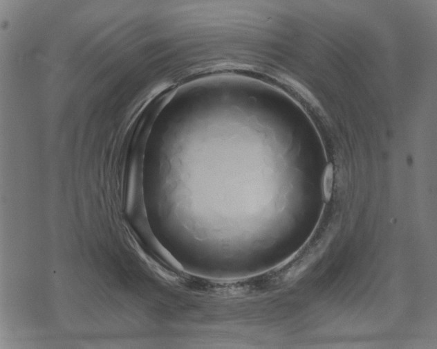 X0000071380793200606261412