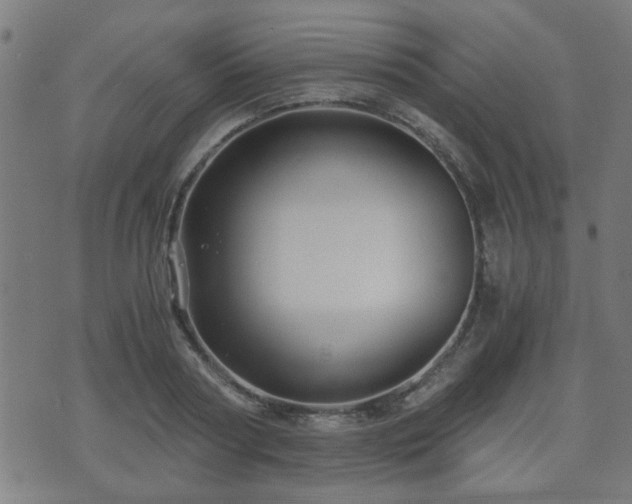 X0000071380794200606261412