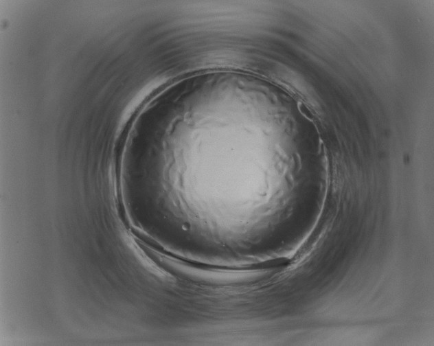 X0000071380796200606261412