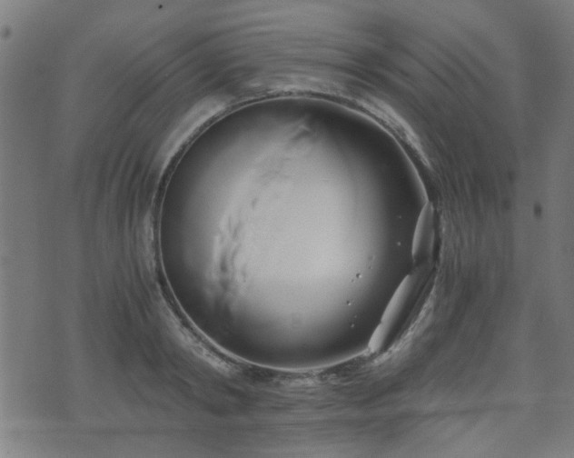 X0000071380798200606261412