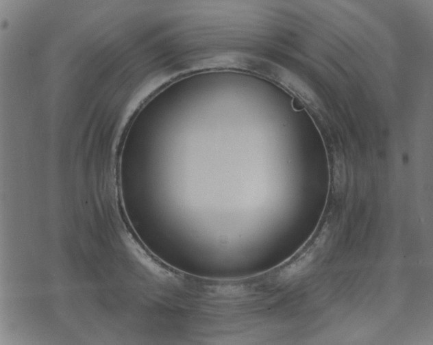 X0000071380800200606261412