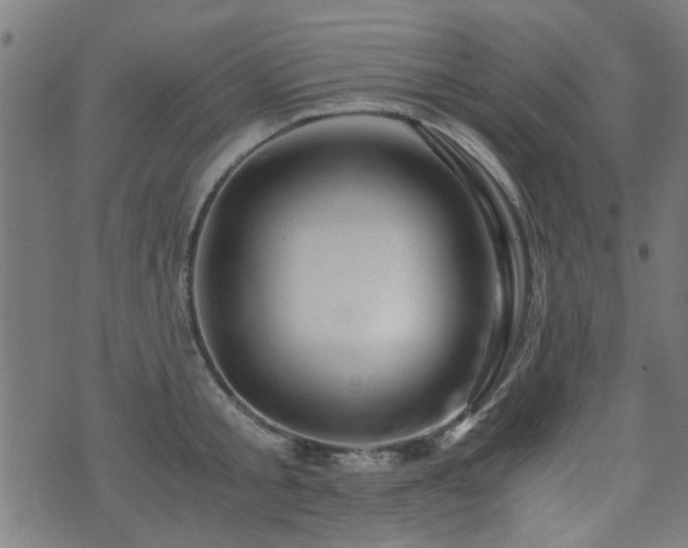 X0000071380805200606261412