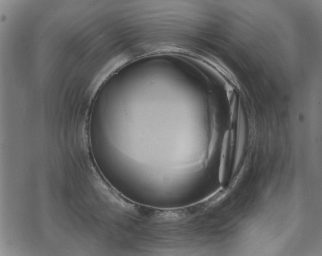 X0000071380806200606261412