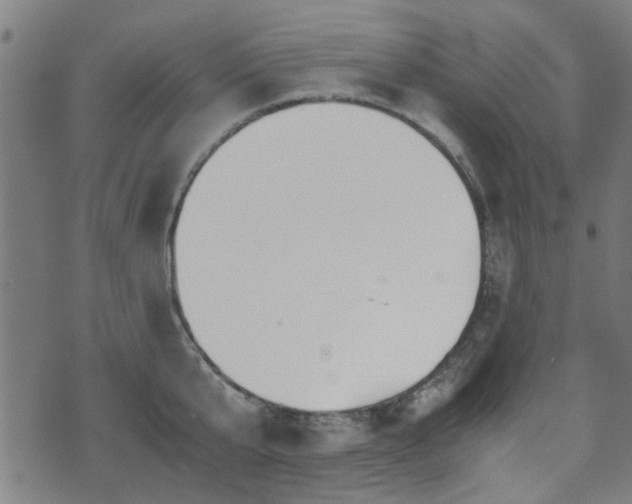 X0000071380807200606261412