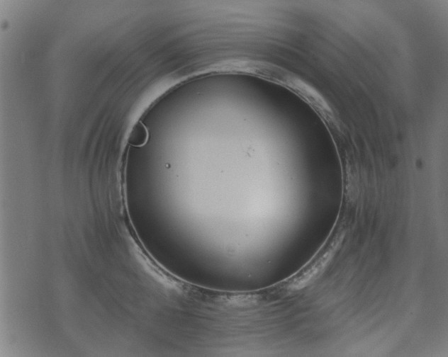 X0000071380808200606261412