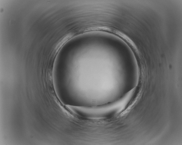 X0000071380809200606261412