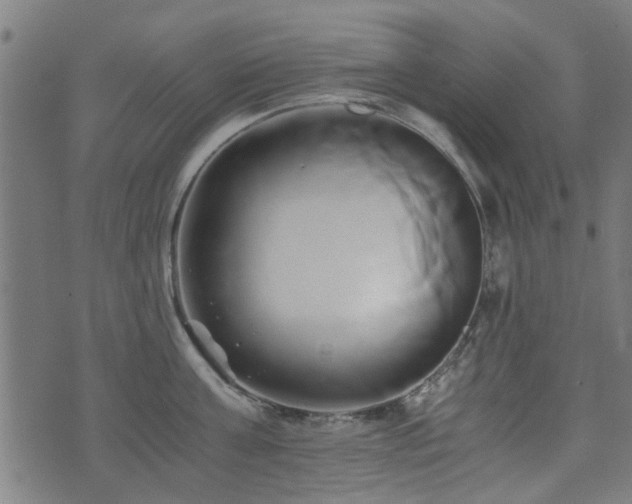 X0000071380811200606261412