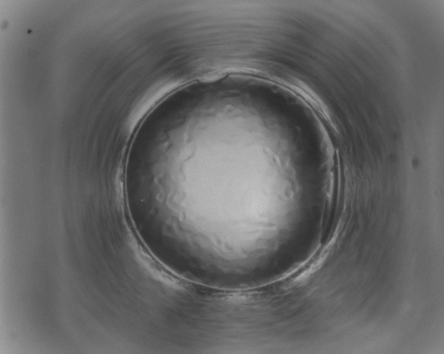 X0000071380814200606261412