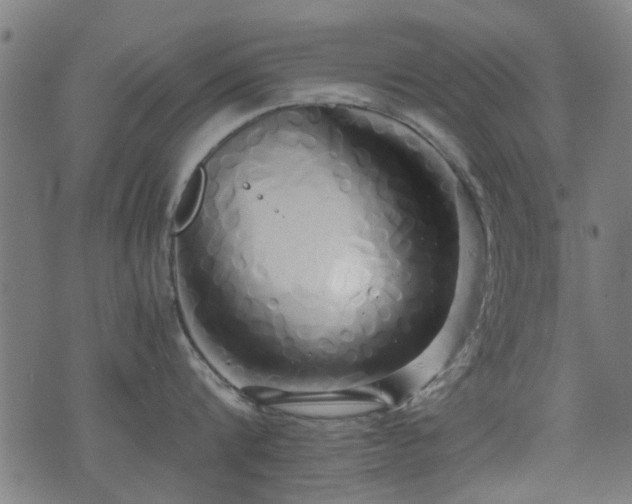 X0000071380816200606261412