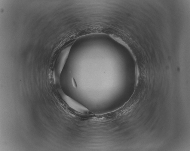 X0000071380818200606261411