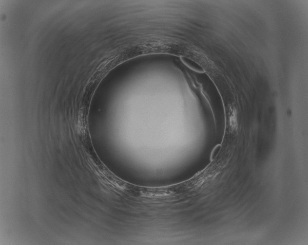 X0000071380819200606261411