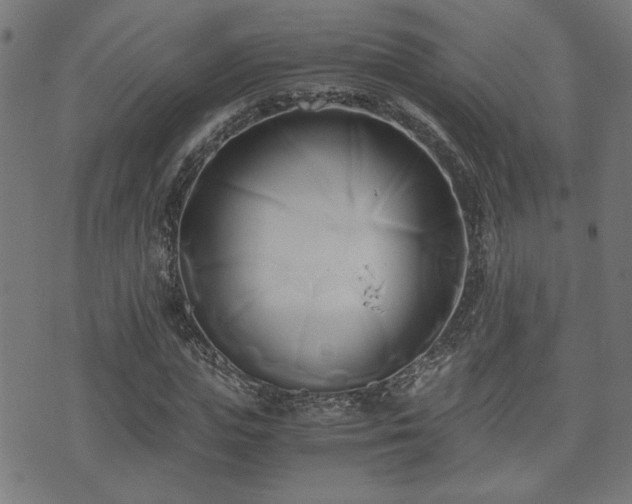 X0000071380823200606261411