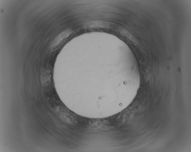 X0000071380824200606261411