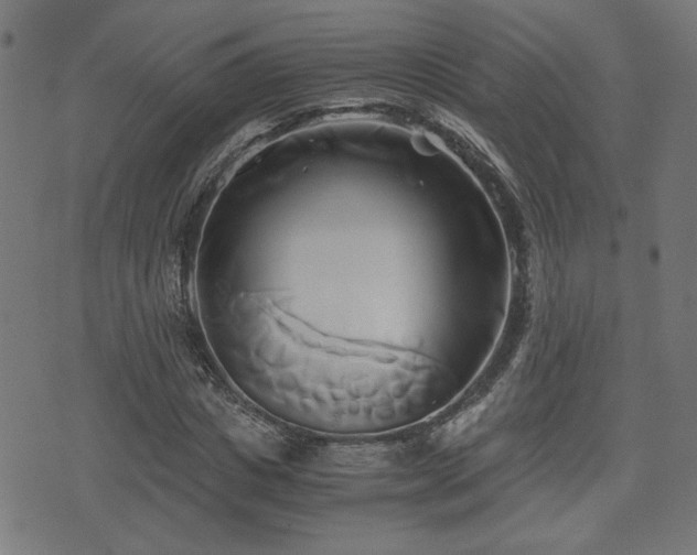 X0000071380825200606261411