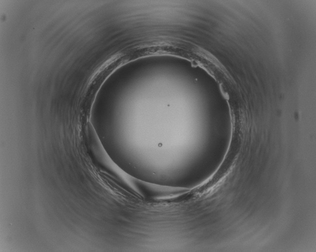 X0000071380826200606261411