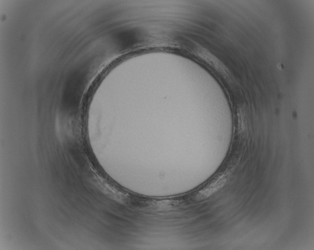 X0000071380828200606261411