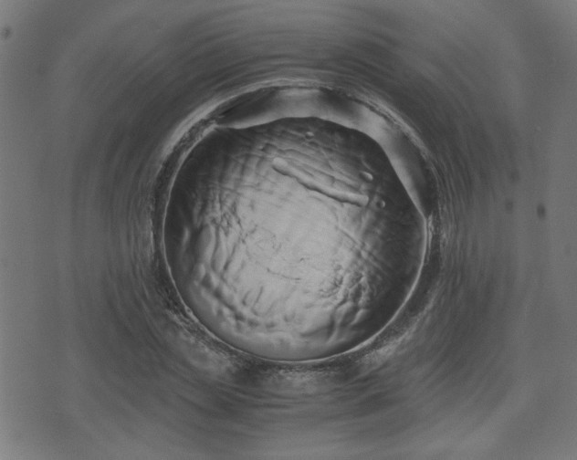 X0000071380829200606261411