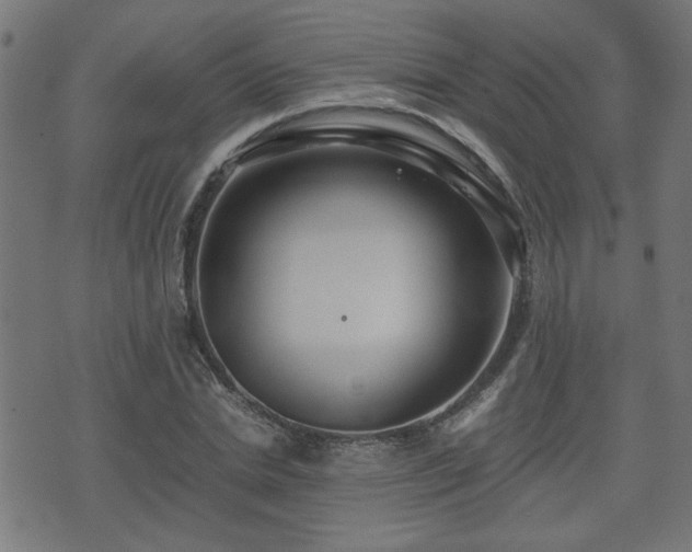 X0000071380830200606261411