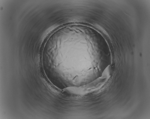 X0000071380831200606261411