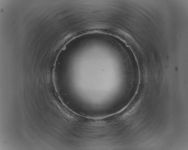 X0000071380833200606261411