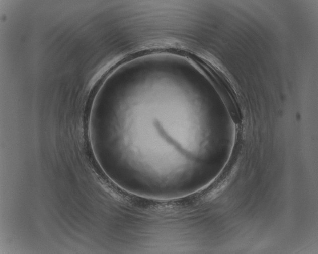 X0000071380834200606261411