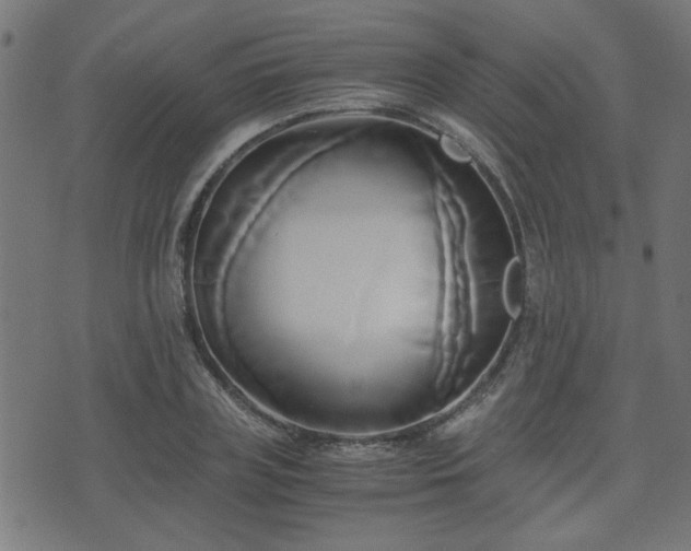 X0000071380835200606261411