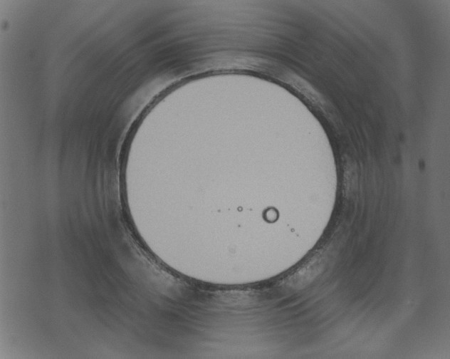 X0000071380836200606261411