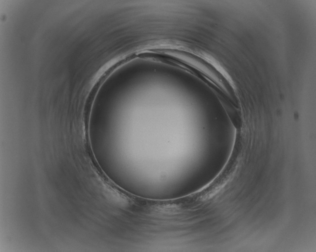 X0000071380837200606261411