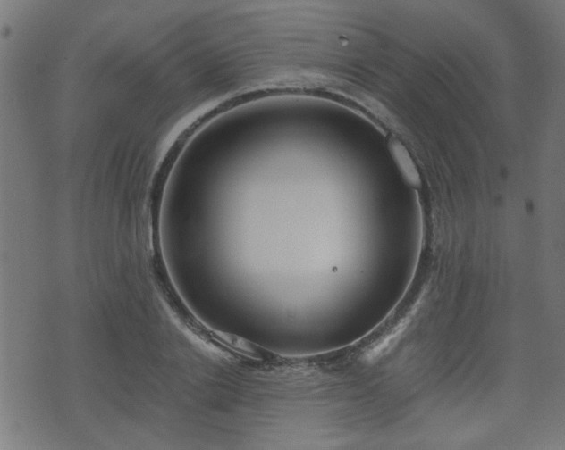 X0000071380838200606261411