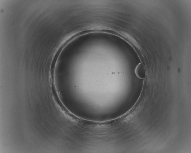 X0000071380839200606261411