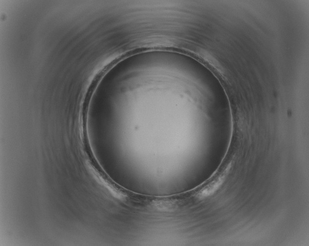 X0000071380840200606261411