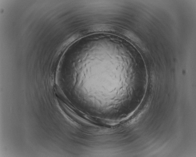 X0000071380841200606261411