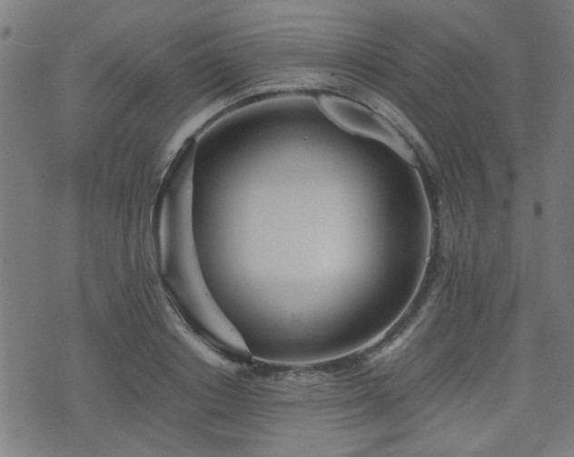 X0000071380842200606261411