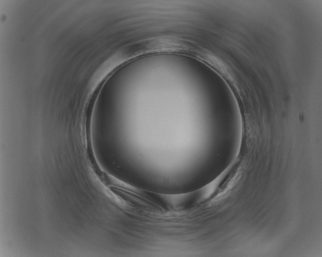 X0000071380843200606261411