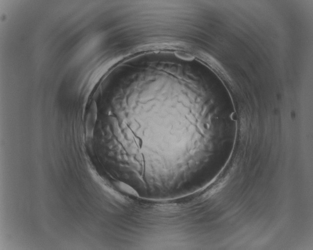 X0000071380844200606261411