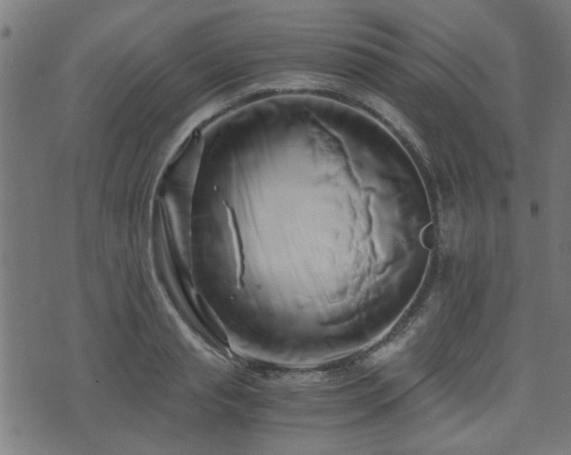 X0000071380845200606261411