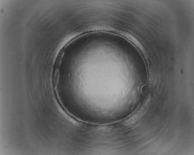 X0000071380847200606261411