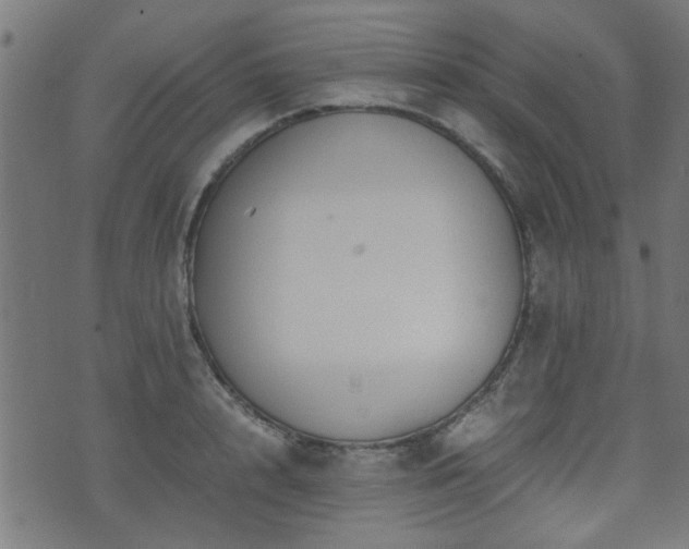 X0000071380848200606261411